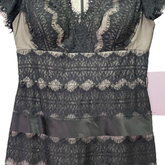 NWT JS Collections Black Nude Lace Illusion Midi Dress Sheer Stripe Size 6 NEW - Picture 4 of 13